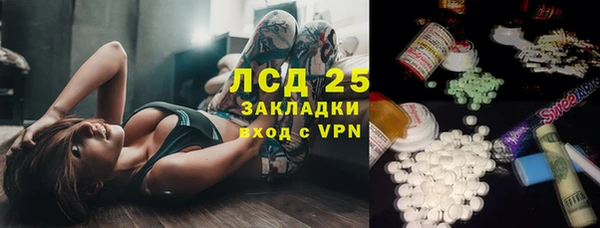 ГАЛЛЮЦИНОГЕННЫЕ ГРИБЫ Касимов