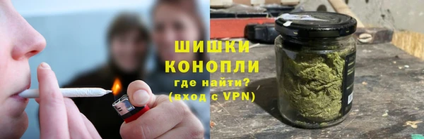 ГАЛЛЮЦИНОГЕННЫЕ ГРИБЫ Касимов
