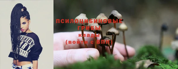 ГАЛЛЮЦИНОГЕННЫЕ ГРИБЫ Касимов