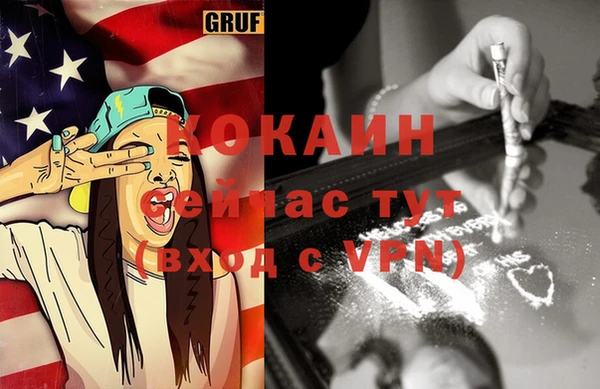 ГАЛЛЮЦИНОГЕННЫЕ ГРИБЫ Касимов