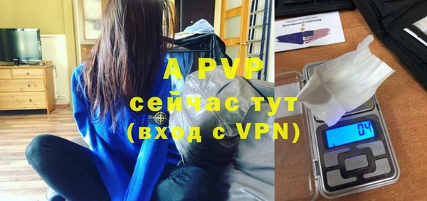 ГАЛЛЮЦИНОГЕННЫЕ ГРИБЫ Касимов