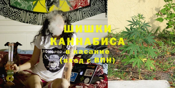 ГАЛЛЮЦИНОГЕННЫЕ ГРИБЫ Касимов