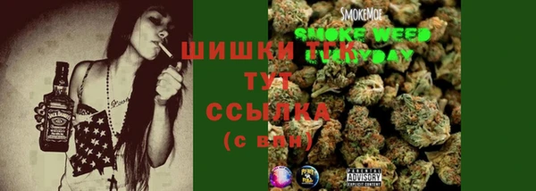 PSILOCYBIN Карпинск